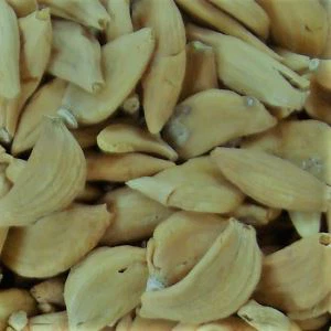 Dehidratált fokhagyma