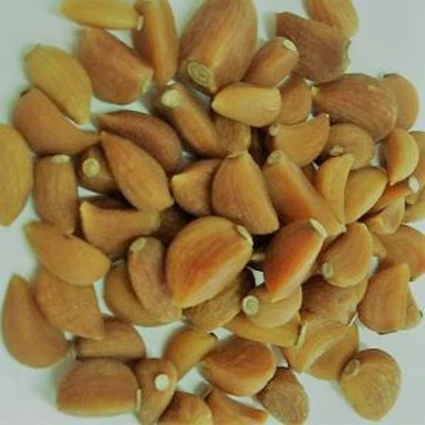 Bio fokhagyma gerezd